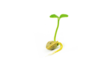 nimble_asset_about_mission