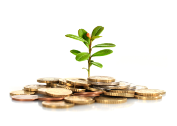 nimble_asset_about_responsibility